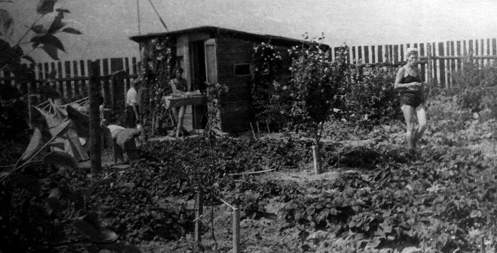 The shed at Soviet dacha in 1951
