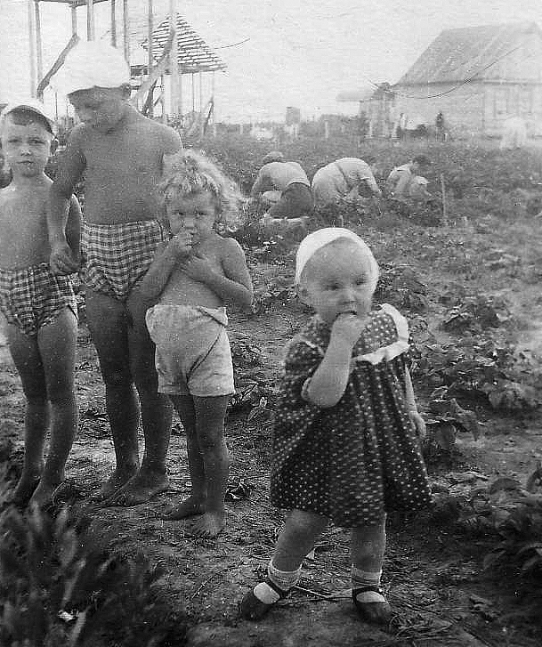 Life at Soviet Dacha in 1952